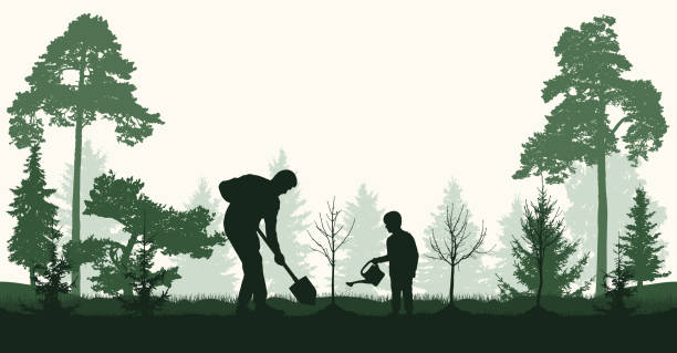 Forêt scierie Doutrelant Bois